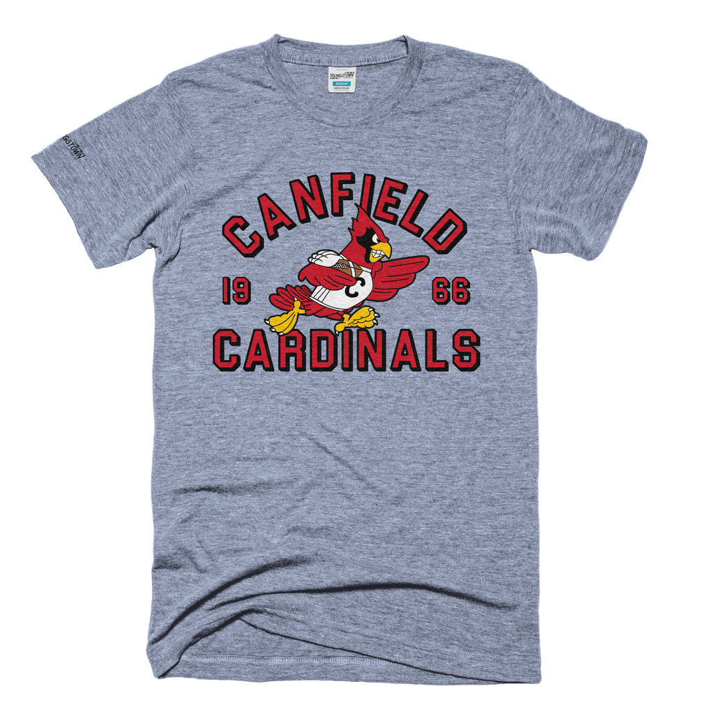 Cardinals SweatShirt, Cardinals Football, Cardinal Pride, Cardinal Mascot  Shirt, School Spirit Shirt, Cardinals School Spirit Wear